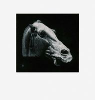 £35 - Horse - Parthenon